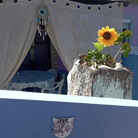La Gatta Studio ไกออส ภายนอก รูปภาพ